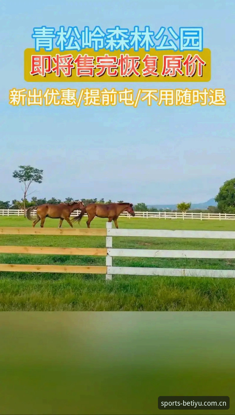 B体育手机版入口深度分析：老用户带你全面解析v1.8.0版本的实用体验